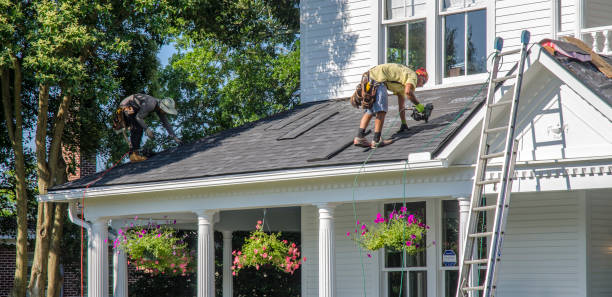 Best Roof Gutter Cleaning  in Hutchison, VA