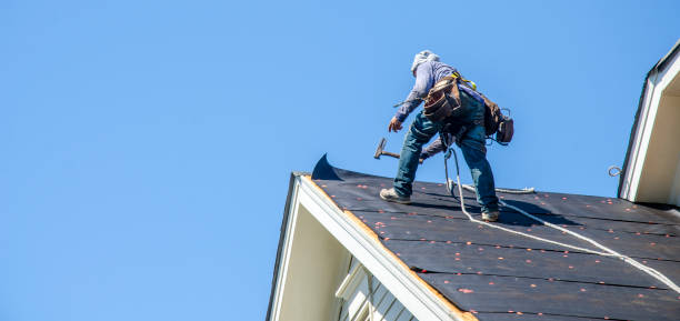 Best Metal Roofing Contractor  in Hutchison, VA